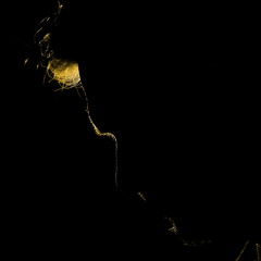 Hautajaiset ( VANHA VERSIO )