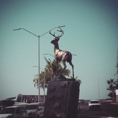 Brillas (Cover de León Larregui)