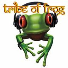 DJ Set - Tribe Of Frog Stage -Boomtown 2014