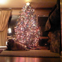 Everybody Loves A Christmas Song - Joel Masters