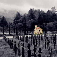The Village