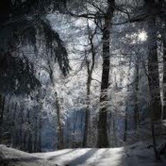 Winter Forest (First Movement)