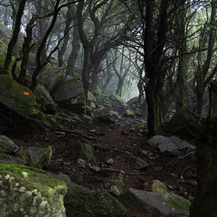 Mysterious Walk  (Piano Solo)