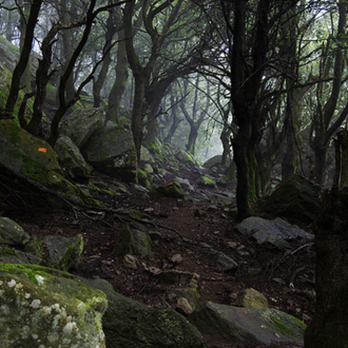 Mysterious Walk  (Piano Solo)