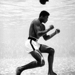 Shadow Boxing (DJ Shadow - Blood On The Motorway Remix)