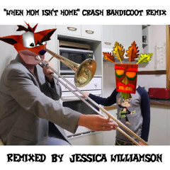 When Mom Isn't Home (Crash Bandicoot Remix)