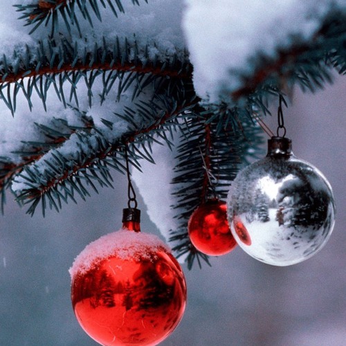 Lá Thư Trần Thế - Đan Nguyên