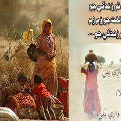 Sindhi