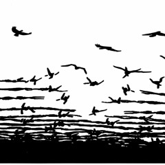 Eric Olearius - No Border (Astronomia Remix)