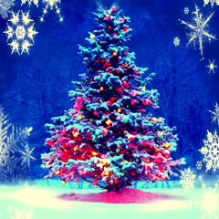 Please Bring Me Christmas