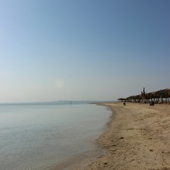 Moonbeam feat. Avis Vox - The Lilt (Soarsweep Remix)