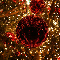 Hai Mùa Noel - Tâm Đoan