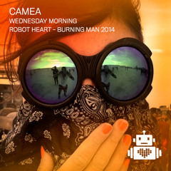 Camea - Robot Heart - Burning Man 2014