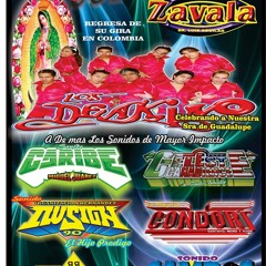 publicidades alvin