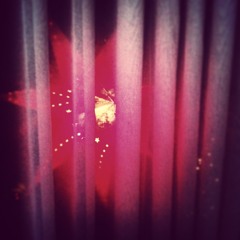 Für Und Von - If Only There Could Be A Glimpse Of Snow