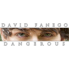 David Fanego - Dangerous (Cover - David Guetta feat. Sam Martin)