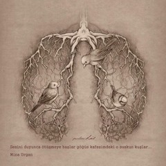 Serap Tamay - Canım Terkeyledi Beni