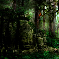 Ancient Forest