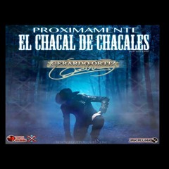 El Chacal De Chacales - Gerardo Ortiz (En Vivo Con Guitarras 2014-15) #MtzCorrido