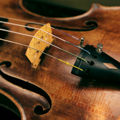 Custom Original Gym Anthem Composition - Crimson Heat Tigers