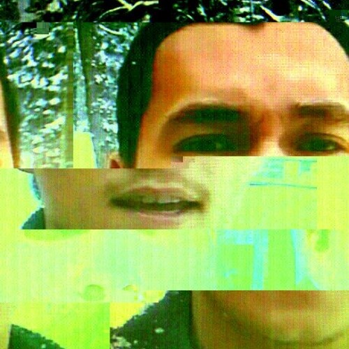 collabos/shit i'm on