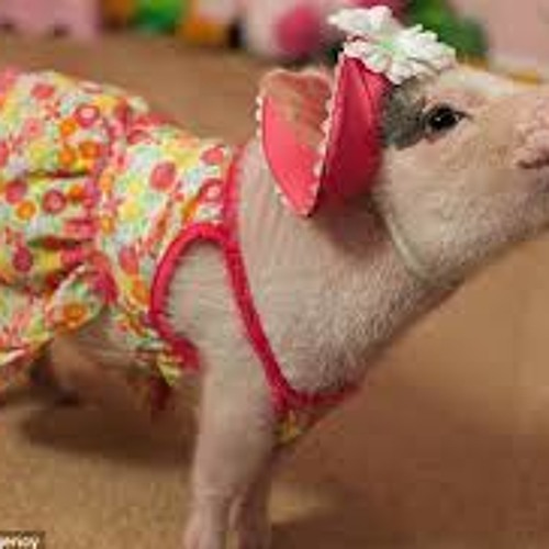 XMas Day Mix - Going Out