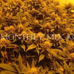 MONTHLY MIX #3