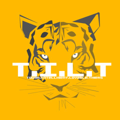 Fireflies Dubstep Owl City