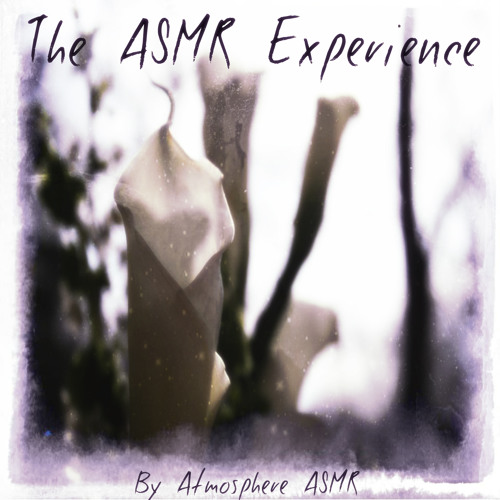 ASMR Paintbrushing The Microphone (Binaural / Ear To Ear)