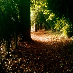 Warpaint - Baby (Cover)