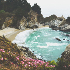 春 に は 桜 の 花