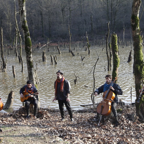 Pallet - Fish & Cat پالت - ماهی و گربه