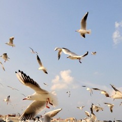 Chis Touk Tarm Mat Tonle By Ou Sorn