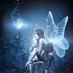 Fairy Night Songs