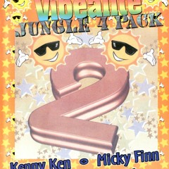 MICKEY FINN-VIBEALITE - 2ND BIRTHDAY  29.09.95 (JUNGLE)