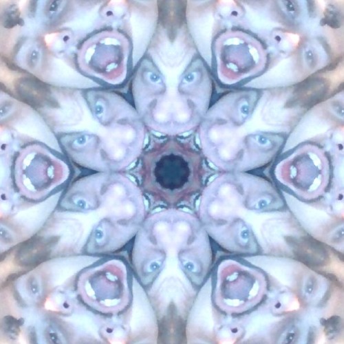 stream-ghbdtn-bp-ghjikjuj-by-limlimsen-listen-online-for-free-on