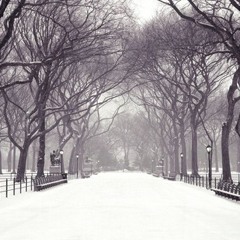 Winter Wonderland - Happy Holidays