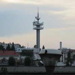 Żywe RYBY