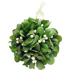 Kisses Go Beneath The Mistletoe