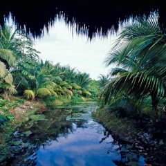 Natural Beauty