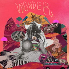 Wonder (Feat. Beedie)