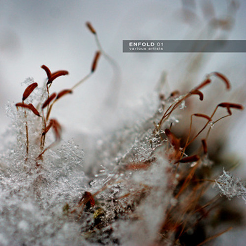 "Oak Branches" ((Ultimae "ENFOLD 01" v.a)) --downl see Info--