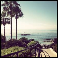 Demar Clutch- Forget me knot