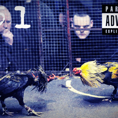 051 MCS - Galo de Rinha (Audio Oficial do Clipe)