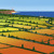 Artwork for Lemon Jelly-Lost Horizons (GraniteMilk Re-Edit)