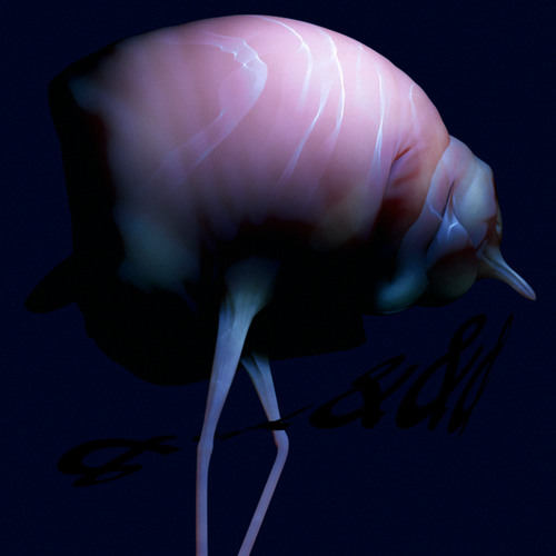 Arca - DM True