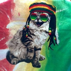 Natty KRUNK'd!!! [DEMO]