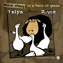 Zyce & Talpa - Black Sheep In A Herd Of Geese (Original Mix)