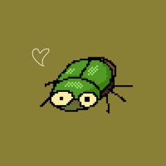 コガネムシの