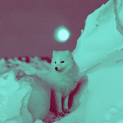 Arcticfoxxx: Oxycodone